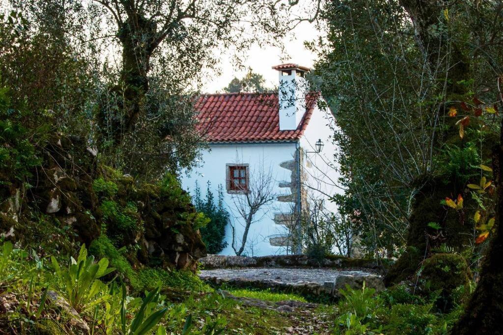 Casa Do Vale Do Papo Villa Pombal  Kültér fotó